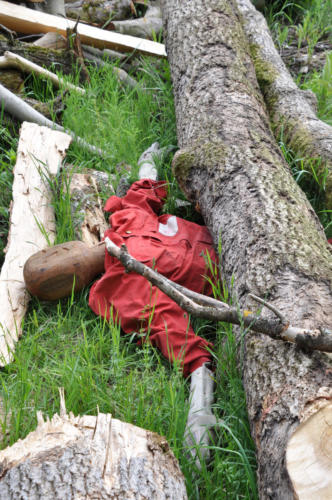 Einsatzübung "Forstarbeiter unter Baum eingeklemmt"