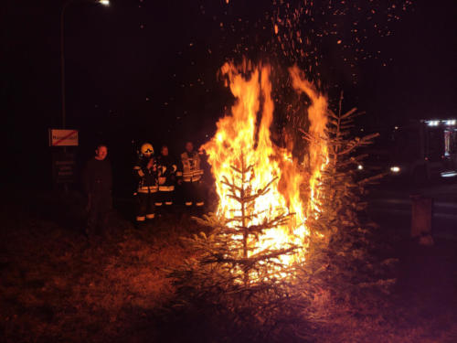 Veranschaulichung Christbaumbrand