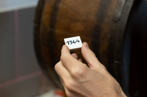 Maibaumaufstellen2025 NachberichtcReinhardEmsenhuber-28