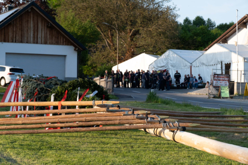 Maibaumaufstellen2025 cReinhardEmsenhuber-02