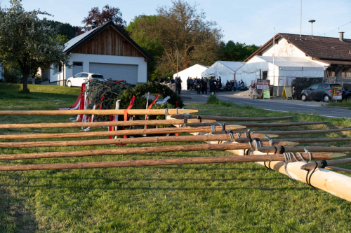 Maibaumaufstellen2025 cReinhardEmsenhuber-03