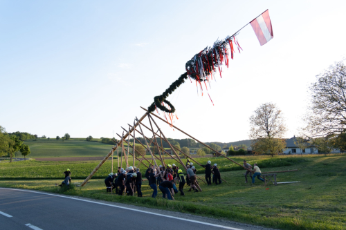 Maibaumaufstellen2025 cReinhardEmsenhuber-33