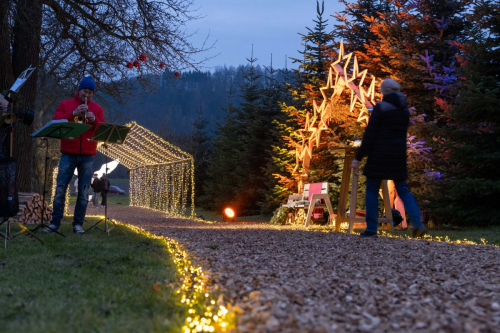 Weihnachten im Dorf 2024-9810 (1) (1)